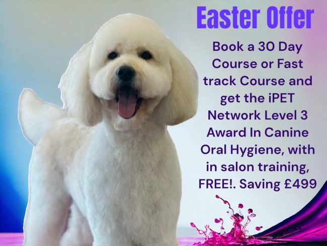 Dog grooming courses 