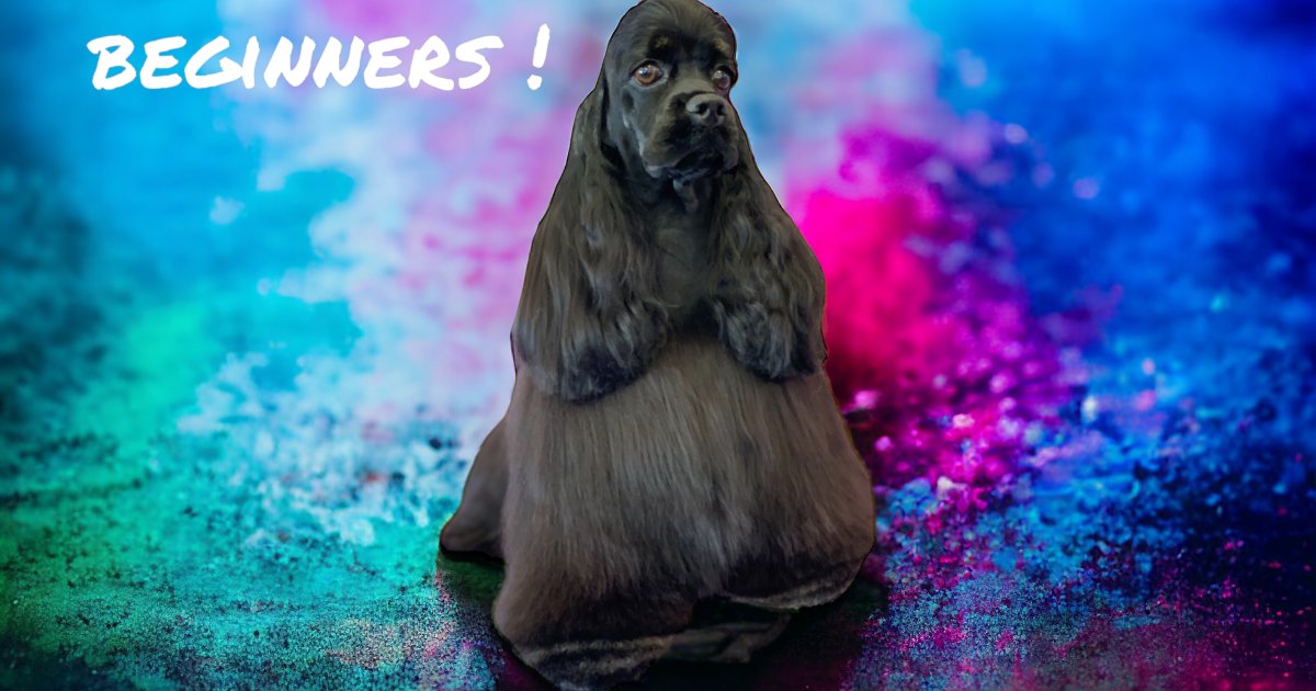 10 Day Level 2 City & Guilds Course Just4Paws