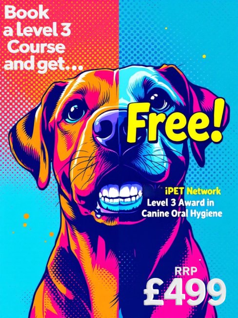 Course offer
