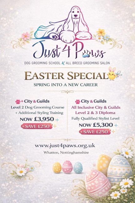 Easter 2026 Offers Dog Grooming Courses