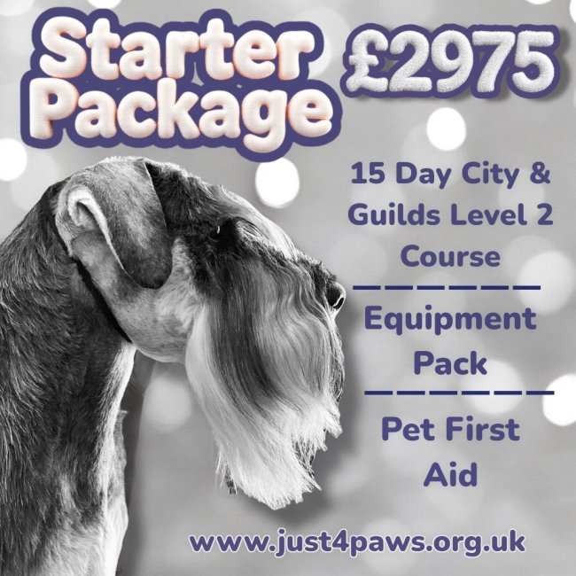 Dog grooming course
