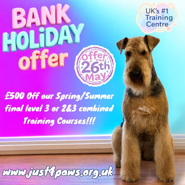 Dog grooming course offer