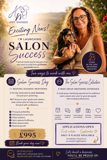 Salon Success