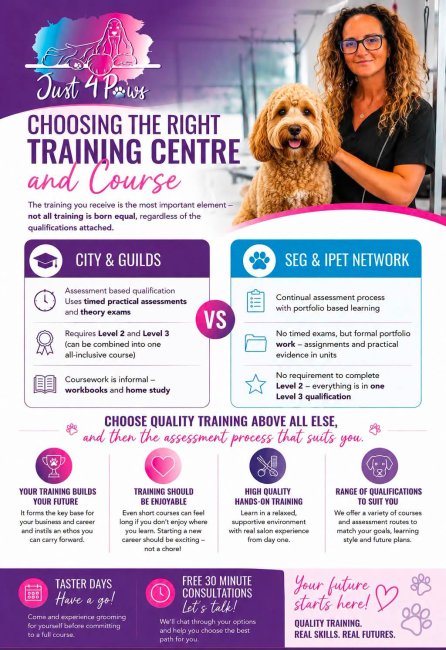 Choosing the right dog grooming training centre
