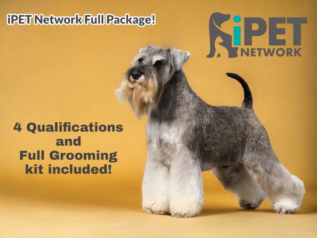 Dog grooming course offer 