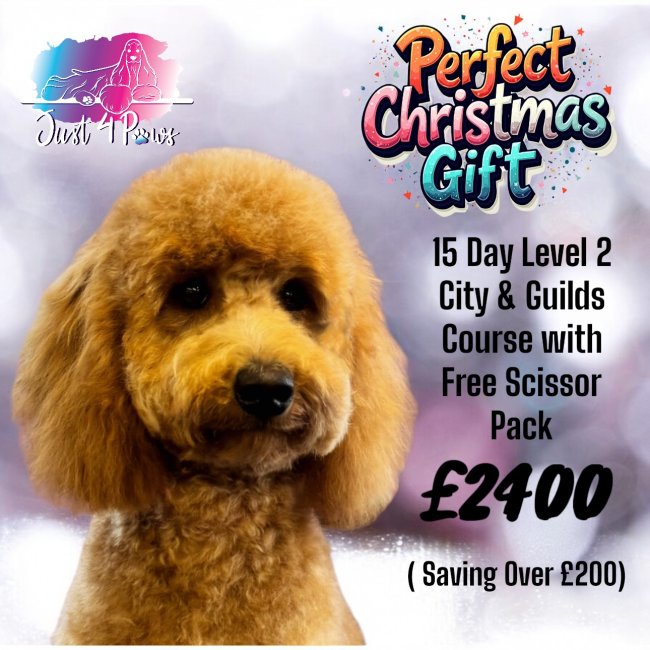 City and guilds dog grooming 