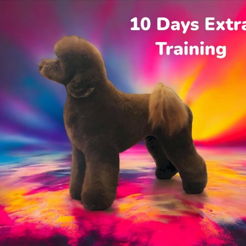 10 Days Extra Training