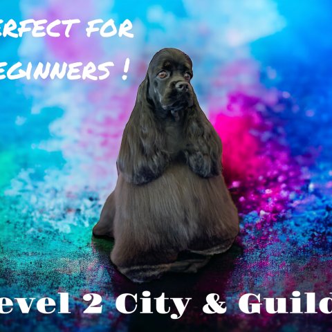 Level 2 City & Guilds Course
