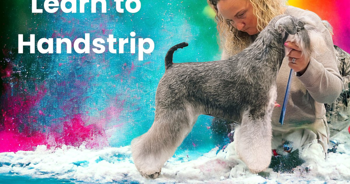 Hand Stripping Course Just4Paws